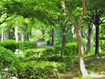 横浜市港北区新吉田分譲地